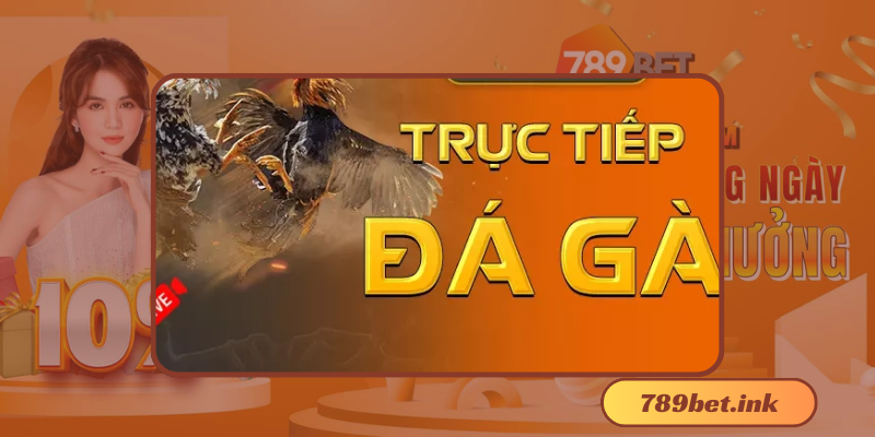 Siêu Thú Vị Với Trực Tiếp Đá Gà Casino