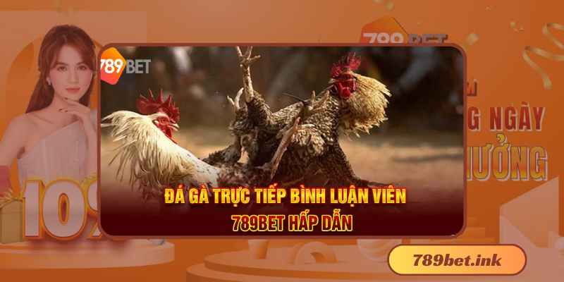 Đá gà 789bet: Trang web cá cược trực tuyến uy tín hàng đầu Việt Nam